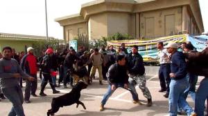 cargill_egypt_sitin_attackedwithdogs